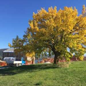 STUDIO OPEN SPACE - lavori in corso